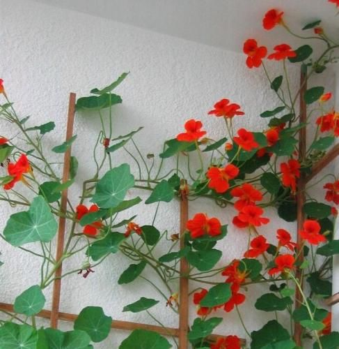 اهنگ آخ اگه میشد سرمو بکوبم به یه جا بعدش فراموشی بگیرم