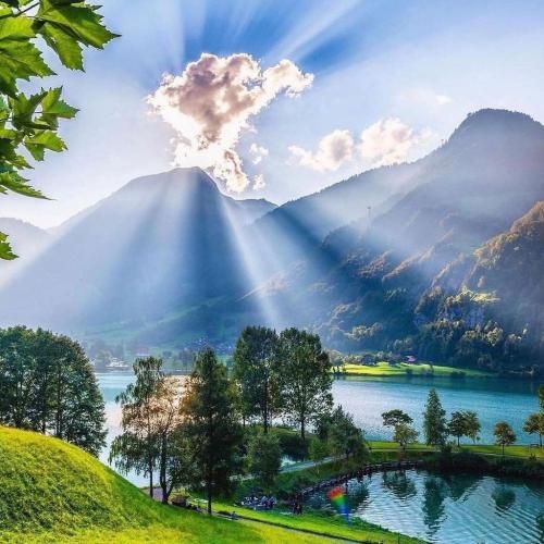  بی تو باخت و بردنم هیچ