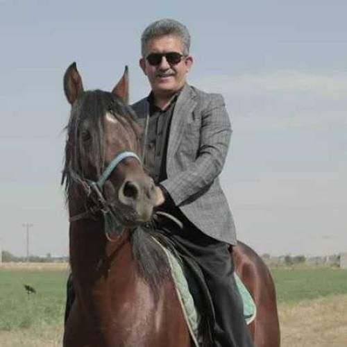 منوچهر زنگنه یادگاری