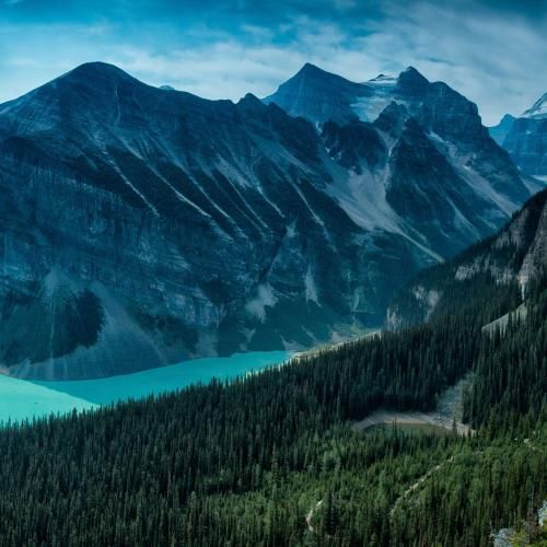 تنها دلیلی که برمیگردم عقب تویی