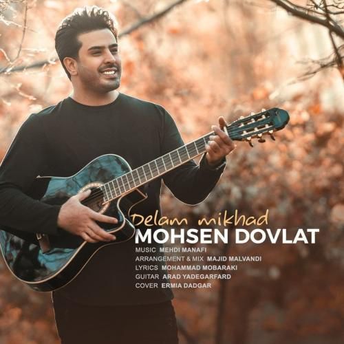 محسن دولت دلم میخواد