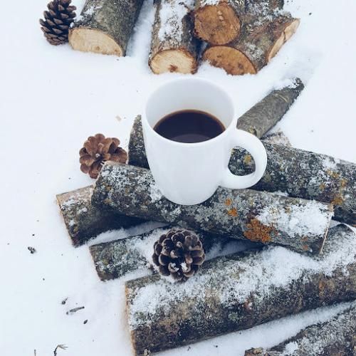 یه گل سرخ یادته دادی بهم من شدم بازیچه دیگه برو