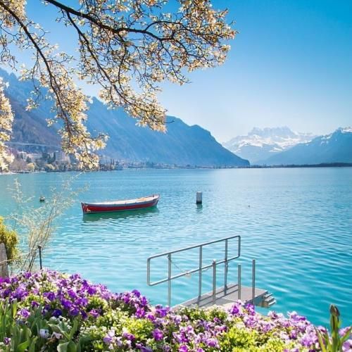  وقتی خوبیام باعث میشه که زده شی بهتره بری