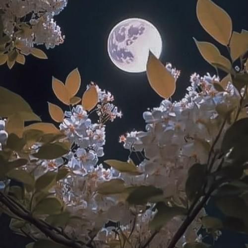 قبل اینکه وابستت بشم میگفت شاید بمیرم