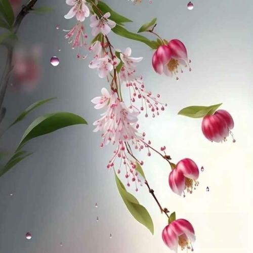 حه مه شیدا دت بم بو کیوه رشه