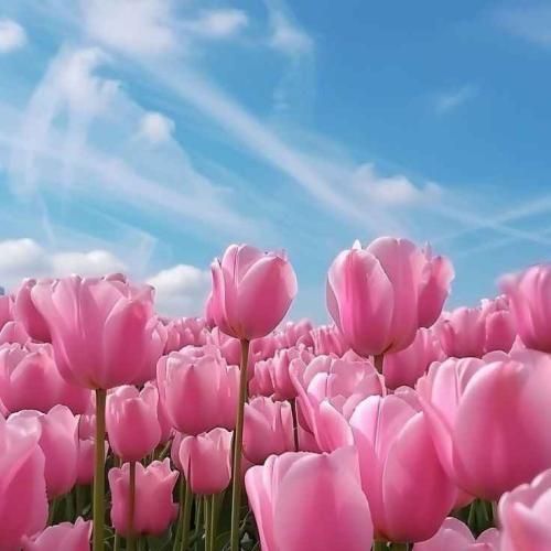  یبار نشد هرچی بگم نه نیاری حسرتش مونده دلم