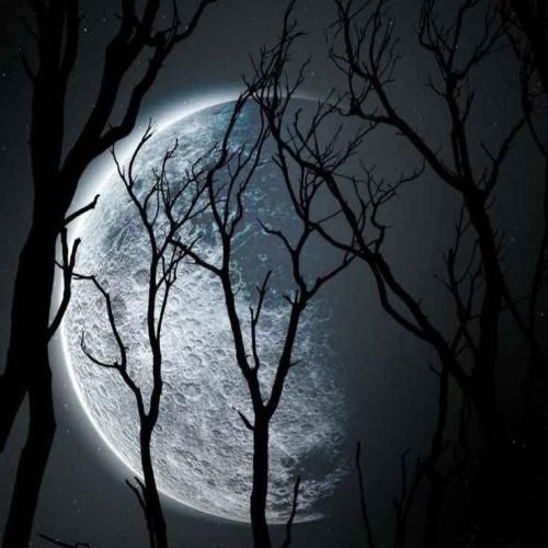 دو یو لاو می