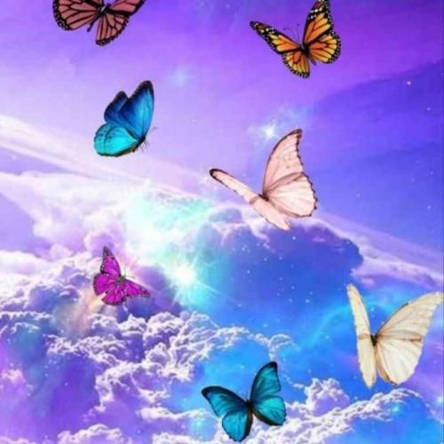 یه کاری کن نیشم وا شه که من از تو شاد شم