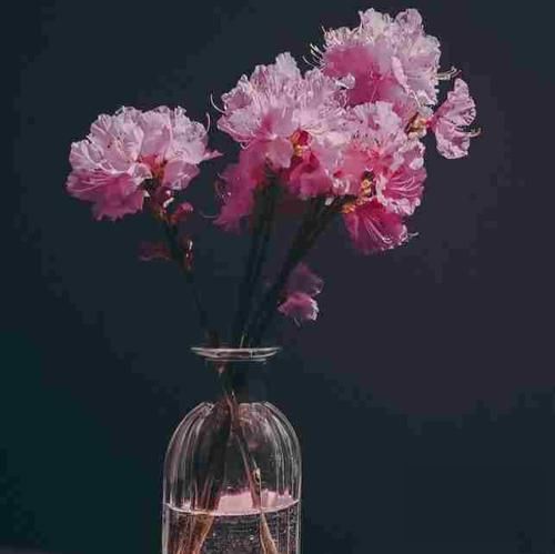 جفتمون پوشیدیم لباس سفید ماله من کفنه مال تو عروس