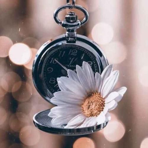 برخیز که شور محشر آمد