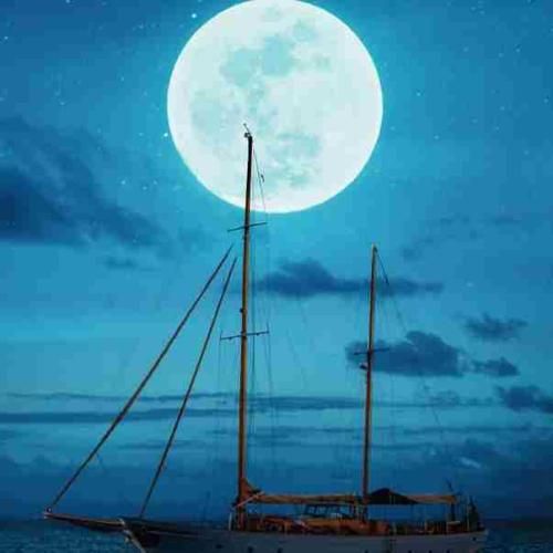 نورانی شدی سخته دیدنت بهمون نشون بده سهم کی غمه