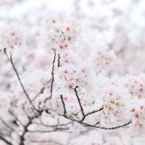  چه خوب میشه که اینجوری بشه نمیشه تو بی پولی بشه