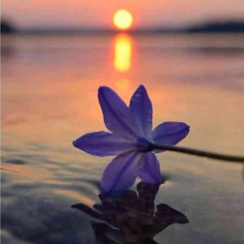 همه رو بوسیدم گذاشتم کنار تو هم روش