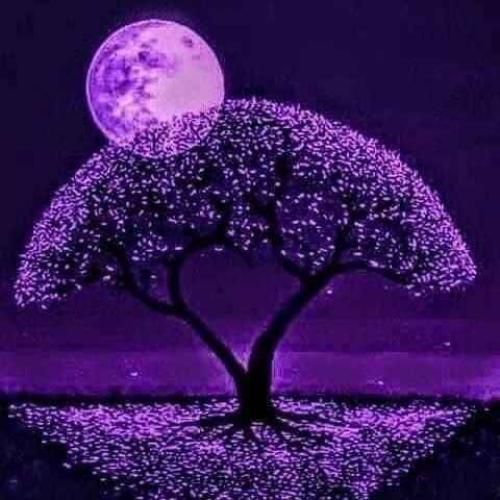 دیگی دیگی دیگی مسو هین خومه