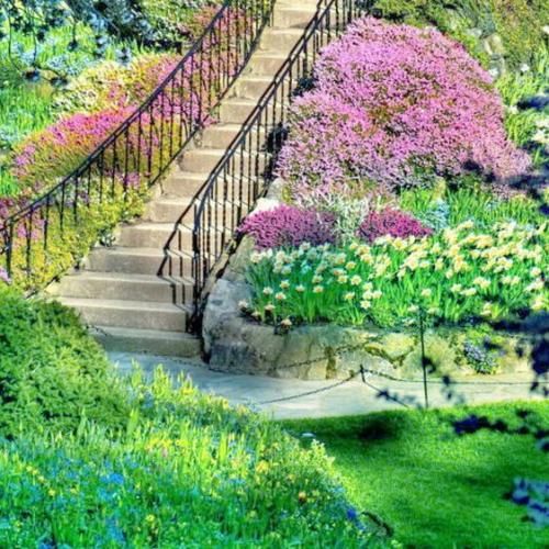 خودت اینجا دلت اونجا یه جایی پایه تو گیره