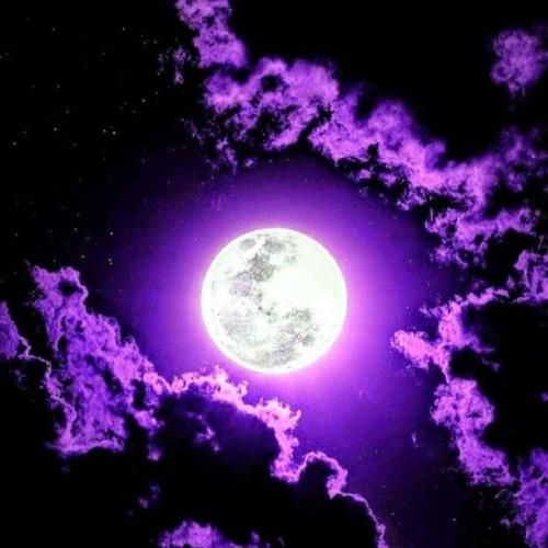 منو ببین رشتی ام خیلی ام مشتی ام