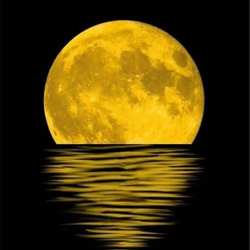 ﺑﺸﻴﻨﻮ راحت ﺑﺎﻗﻴﻪ زخم زﺑﻮﻧﺎﺗﻮ بزن نیستی با خودشم این بچه