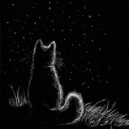 سردی شبیه درختای بدون برگ