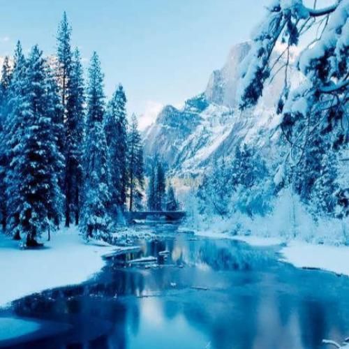  امشب تا خود صبح میکوبیم و نمیخوابیم