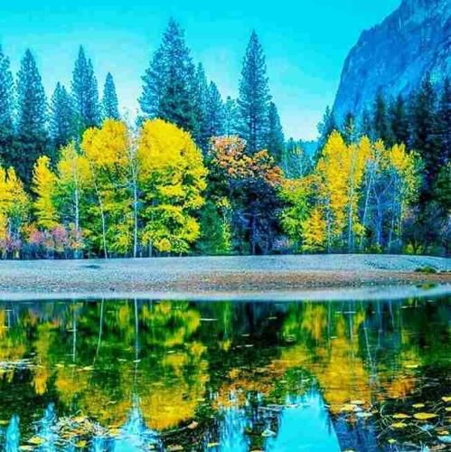  چالش اینستا تیک تاک بنام سوسن خانوم