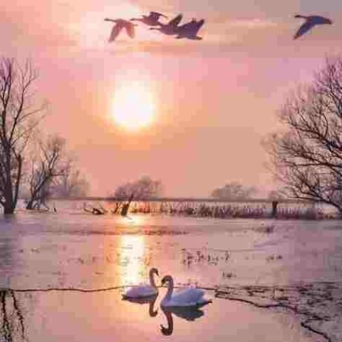 دوست دارم عاشقونه صدات کنم با صدای بچه