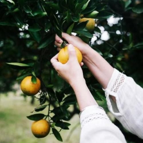 بیا برگردیم به هم من حاضرم با صدای زن