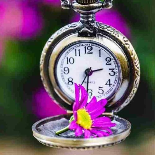  آقای قاضی منم گول چشاشو خوردم واسش میمردم