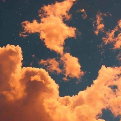 فاقو فاقو واقو