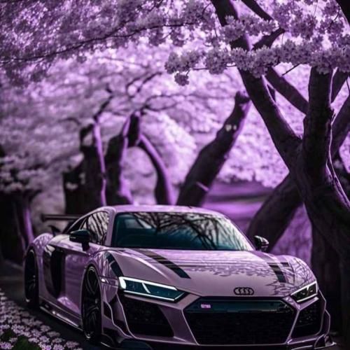 دلبری دل میبری برای ما زبای میته پری