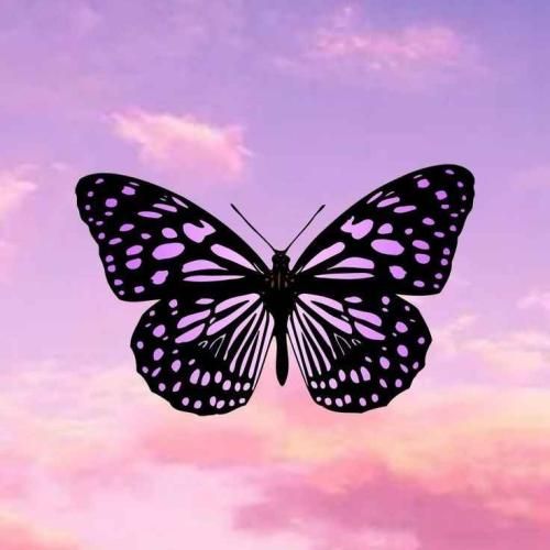 سویله بیر گون هرشی چوک گوزل اولاجاک