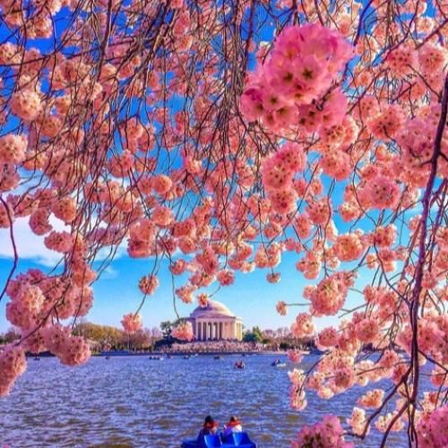 افغانی همیشه در دل من یارک خوشگل من