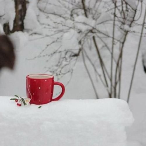 نمیشه نزنم باهاش حرف یه شب