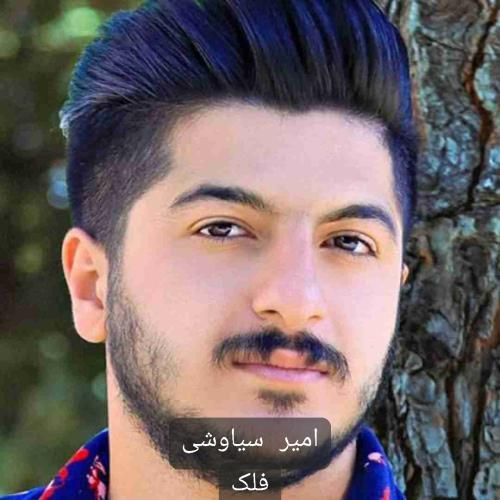 امیر سیاوشی فلک