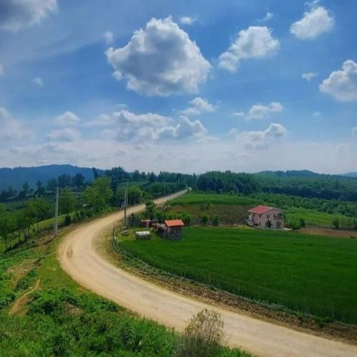 بیبی تتو زده روی سینش دیدمش وقتی که تاپشو میکند