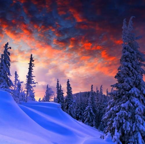 رد پای اشکا روی تپه های گونه ها و مرگشون