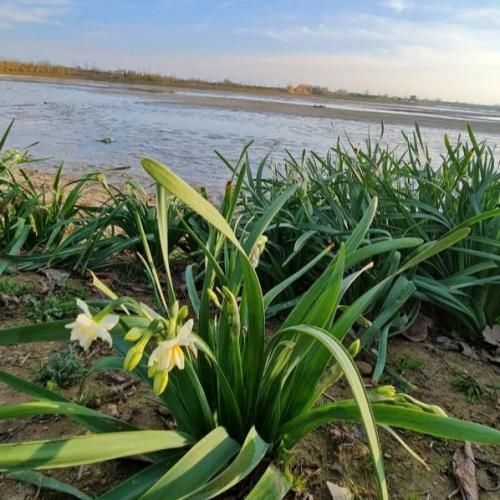 شبا تا صبح بیدارم میخونم از عشق تو