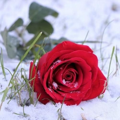 دیگه قلبم جون نداره الان حس میکنم خدا دوستم نداره