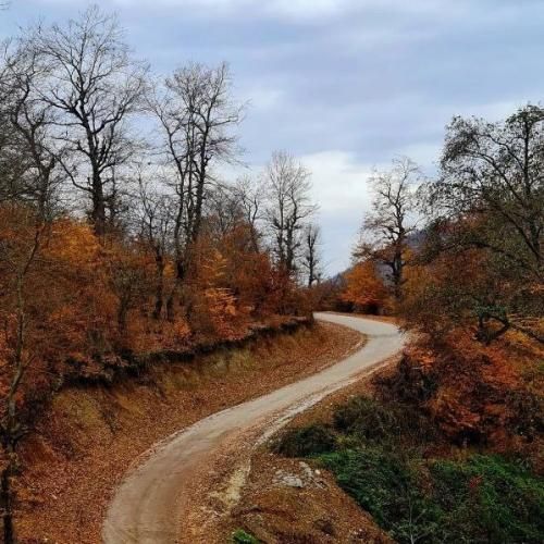 انرژی بده لطفا تا باشی محکم هیترا زر مفتن