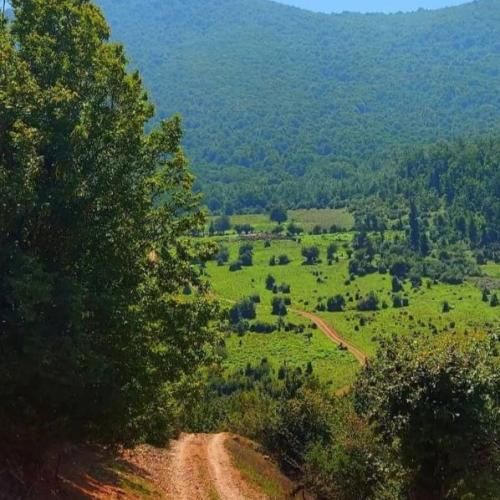 دنیا از عشق بگو