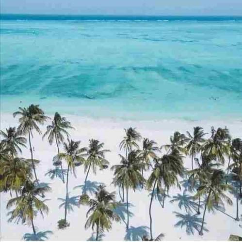 تهران اسپیکر میای رو تنم از تو نمیگذرم