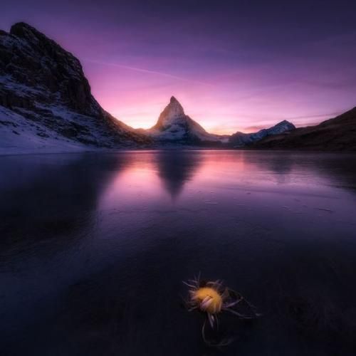 حالش نی برم تو کلو خوبمو دسته گل خونمو