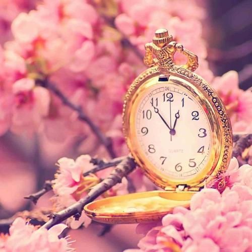 اگر یه درصد شک کردی بهتری خیره خواب دیدی صبح شد پاشو