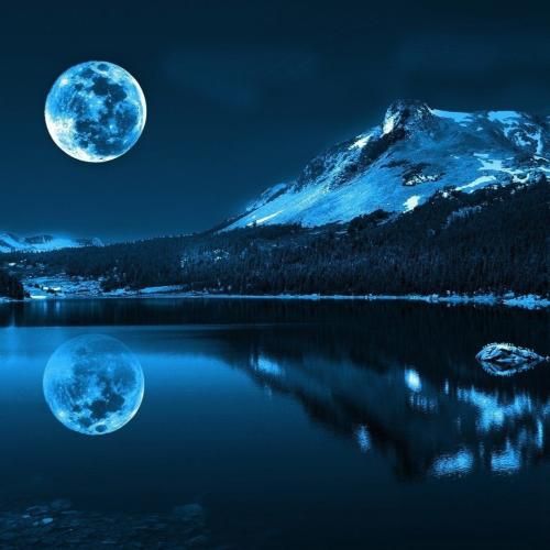  رو کوک بچمو کتک زدم مثل تایگا