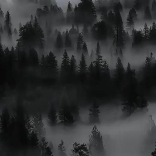  خیال میکردم تو برام پشت و پناهی با صدای زن