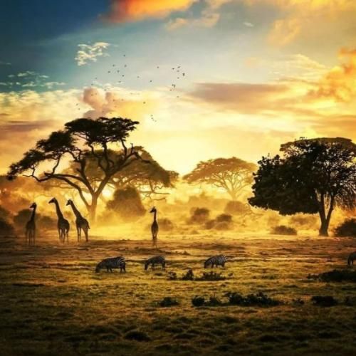گم شدم دیگه تو تاریکی بزار همه برن دیگه باکی نی