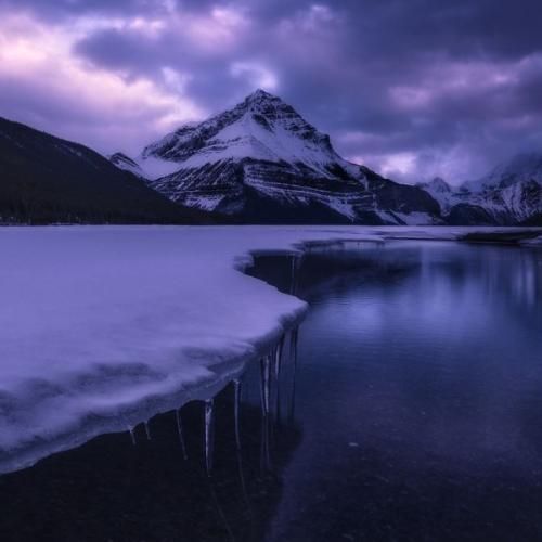  چه خوب شد خوشمون شد دوماد ماله خودمون بود