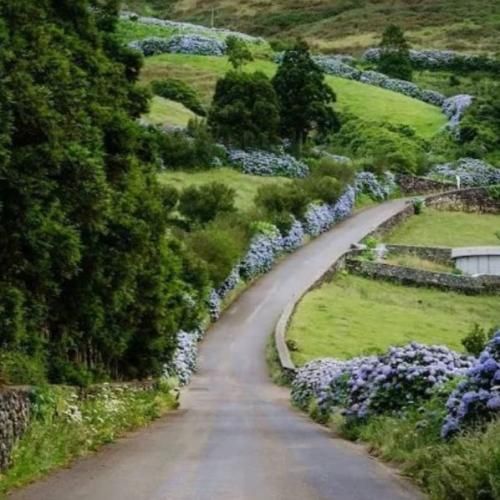 بازی با ما وینه وینه با داداشاش تیمه تیمه