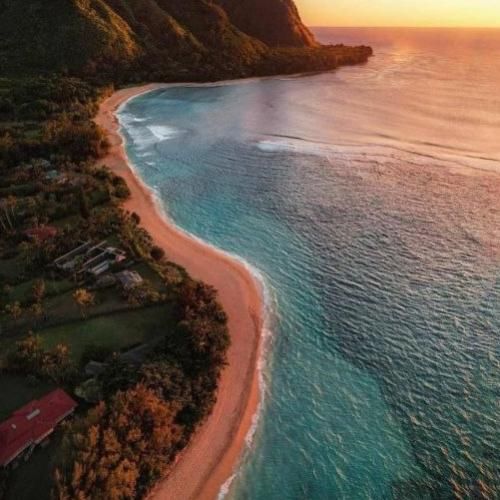 دیوونه ام پریشون بلادیا نیست شبیشون میزنم بهت شبیخون