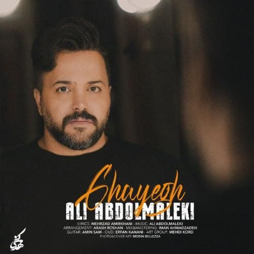 علی عبدالمالکی قایق