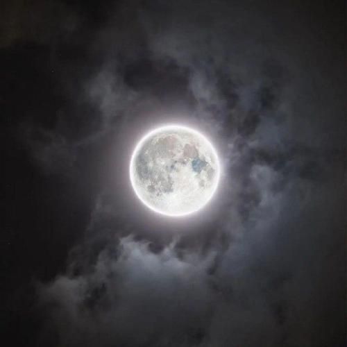 شب هجرون دیگه تمومه گل مهتاب بر سر بومه